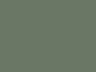 IVERAL 18 MM. K521 SU SMOKE GREEN - 280/207